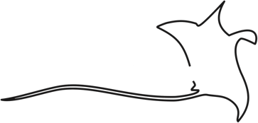 Driftwood Mantaray